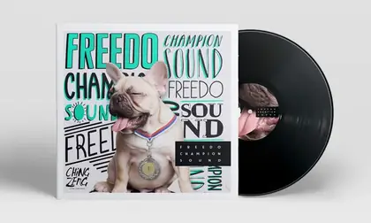 Vinyl sleeve